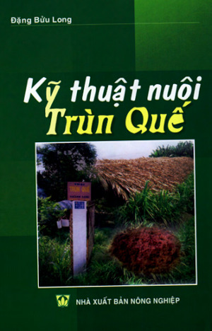 Kỹ Thuật Nuôi Trùn Quế