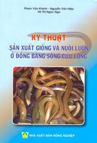 Kỹ Thuật Sản Xuất Giống Và Nuôi Lươn Ở Đồng Bằng Sông Cửu Long