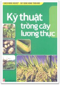 Kỹ Thuật Trồng Cây Lương Thực