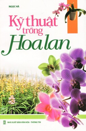 Kỹ thuật trồng hoa lan