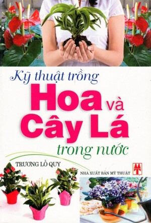 Kỹ Thuật Trồng Hoa và Cây Lá Trong Nước