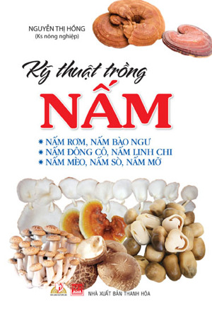 Kỹ Thuật Trồng Nấm