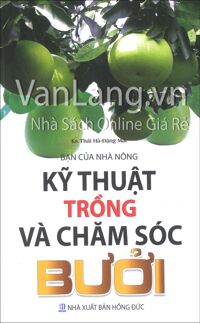 Kỹ thuật trồng và chăm sóc bưởi