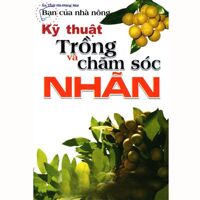 Kỹ thuật trồng và chăm sóc nhãn