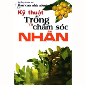 Kỹ thuật trồng và chăm sóc nhãn