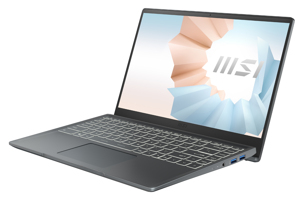 Laptop MSI Modern 14 B11MOL 813VN - Intel core i3-1115G4, 8GB RAM, SSD 256GB, Intel UHD Graphics, 14 inch