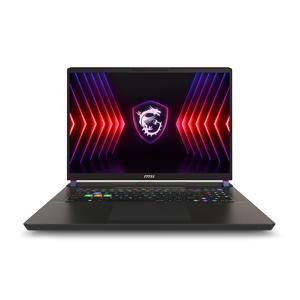 Laptop MSI Vector 17 HX A14VGG-219US - Intel Core i9-14900HX, RAM 32GB, SSD 1TB, Nvidia GeForce RTX 4070 8GB GDDR6, 17 inch