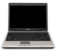 Laptop Toshiba Satellite Pro M300-P405 - Intel Pentium T4200, 2GB RAM, 160GB HDD, VGA Intel GMA XH4500HD, 14.1 inch