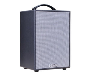 Loa Acnos CS121