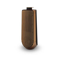 Loa  Bang & Olufsen Beolab 50