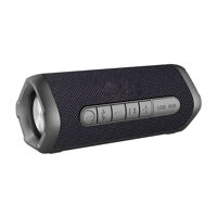 Loa bluetooth Caparies 605