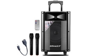 Loa bluetooth karaoke QiSheng LX-L81