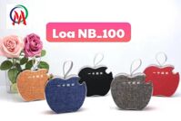 Loa Bluetooth NB-100