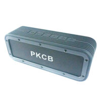 Loa Bluetooth PKCB8PR0