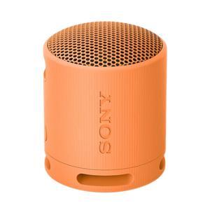 Loa Bluetooth Sony SRS-XB100