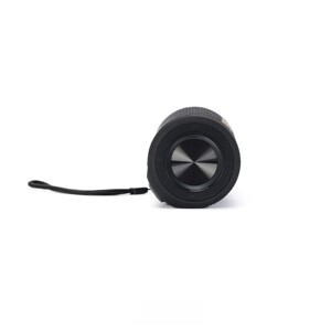 Loa Bluetooth Sounarc P4