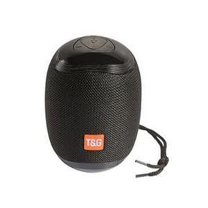 Loa Bluetooth T&G TG 529