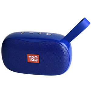 Loa Bluetooth T&G TG 173