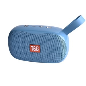 Loa Bluetooth T&G TG 173