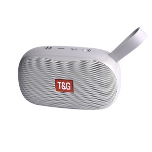 Loa Bluetooth T&G TG 173