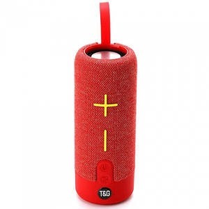 Loa Bluetooth T&G TG-619