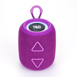 Loa Bluetooth T&G TG 655