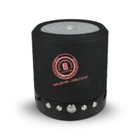 Loa bluetooth Wster WS-631