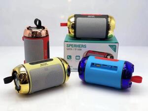 Loa Bluetooth WS100