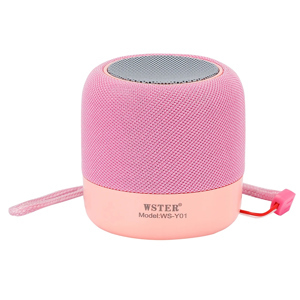 Loa Bluetooth Wster WS-Y01