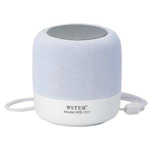 Loa Bluetooth Wster WS-Y01