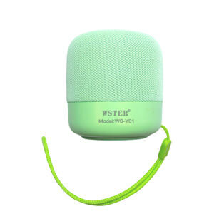 Loa Bluetooth Wster WS-Y01