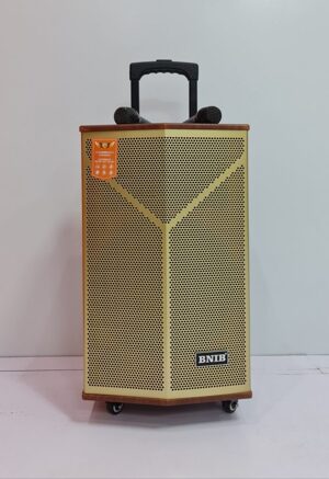 Loa BNIB 1298 bass 30