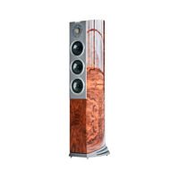 Loa cây (Floor Standing) Audiovector R8 Arreté