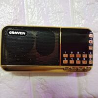 Loa Craven CR 822