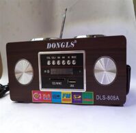 Loa Dongls 808A