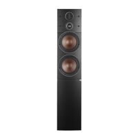 Loa Dali Callisto 6C