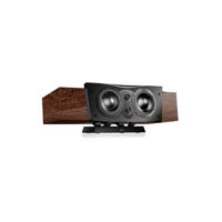 Loa Dynaudio Confidence Center Platinum