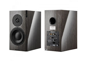 Loa Dynaudio Focus 20 XD