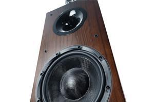 Loa Hifi Cavs TL210