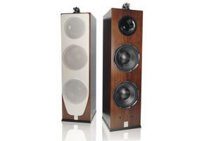 Loa Hifi Cavs TL210