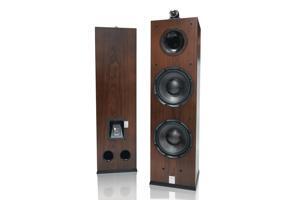 Loa Hifi Cavs TL210