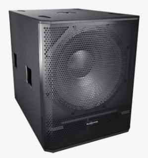 Loa hội trường AudioCenter PL3118