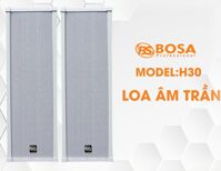 Loa hội trường Bosa H30