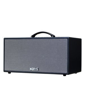 Loa karaoke Acnos CS216X150