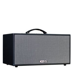 Loa karaoke Acnos CS216X150