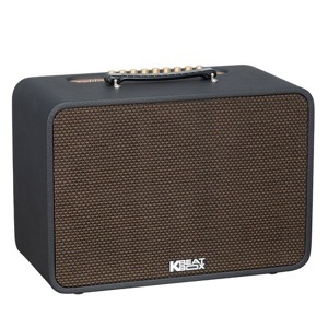 Loa karaoke Acnos CS250PRO