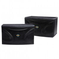 Loa Karaoke Befier PS-39