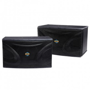 Loa Karaoke Befier PS-39