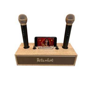 Loa karaoke bluetooth Peterhot A100