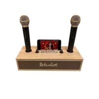 Loa karaoke bluetooth Peterhot A100